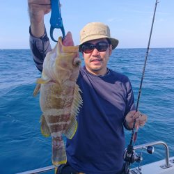 ARCADIAⅡ (アルカディアⅡ) 釣果