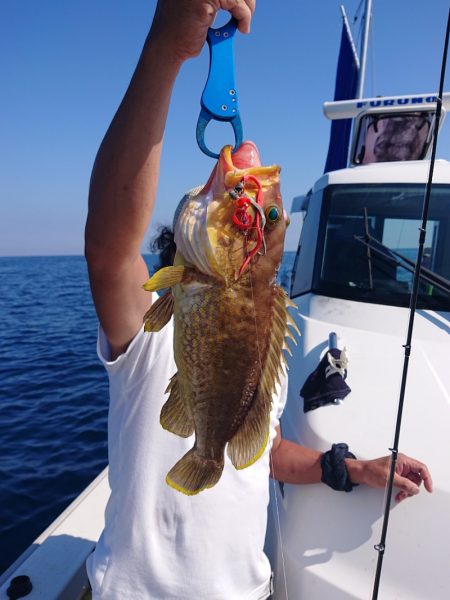 ARCADIAⅡ (アルカディアⅡ) 釣果