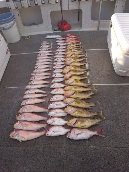 ARCADIAⅡ (アルカディアⅡ) 釣果