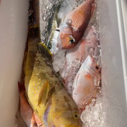 海龍丸（石川） 釣果