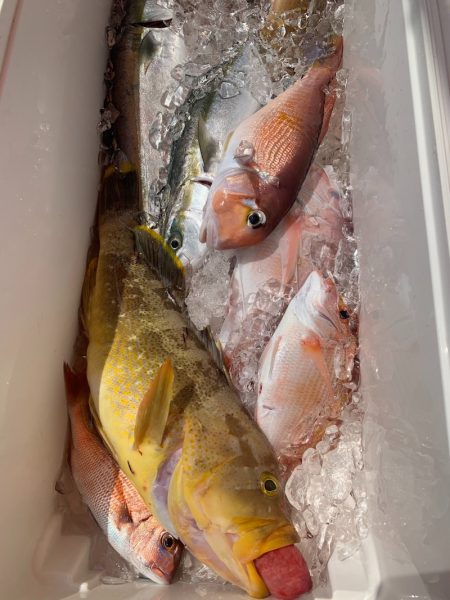 海龍丸（石川） 釣果