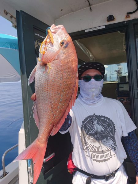 ARCADIAⅡ （アルカディアⅡ） 釣果