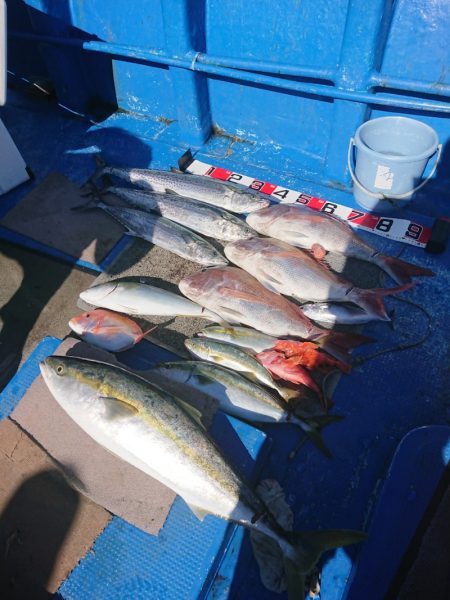 清和丸 釣果