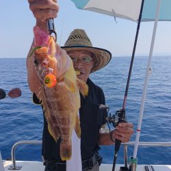 ARCADIAⅡ （アルカディアⅡ） 釣果