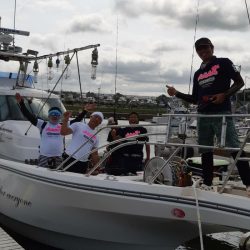 シーライオン 釣果