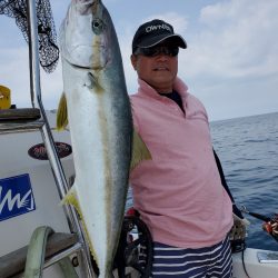 シーライオン 釣果