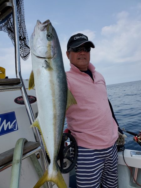 シーライオン 釣果