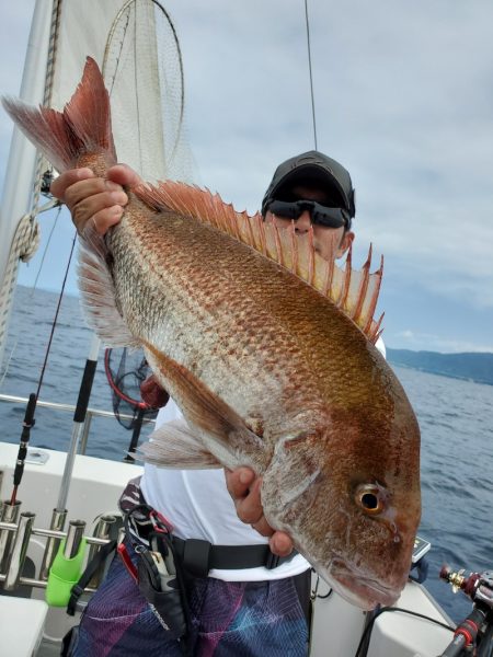 シーライオン 釣果
