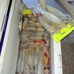 第二龍勢丸 釣果