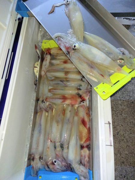 第二龍勢丸 釣果