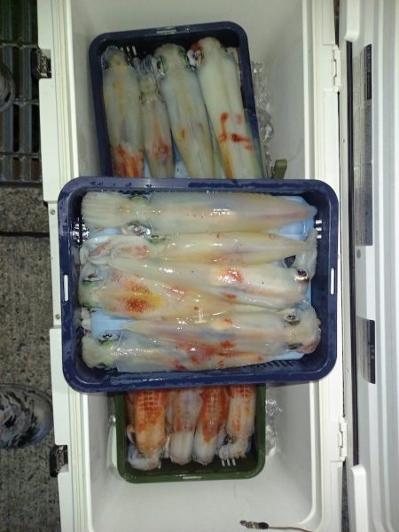 第二龍勢丸 釣果