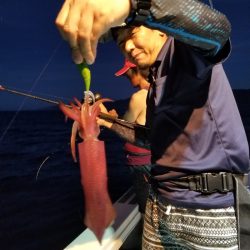 アマテラス 釣果