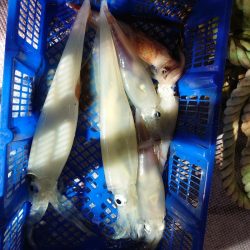 海龍丸（石川） 釣果