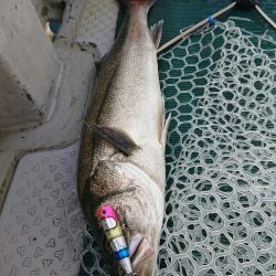 鷹王丸 釣果