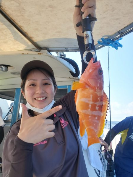 ソルトウォーターガイドフレンズ 釣果