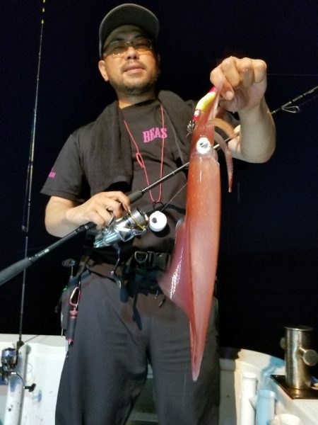 アマテラス 釣果