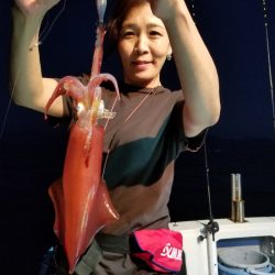 アマテラス 釣果