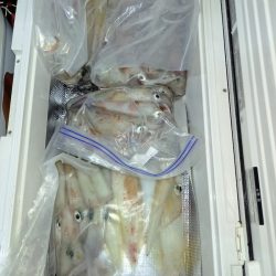 第二龍勢丸 釣果