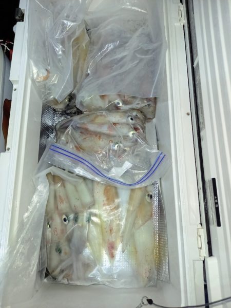 第二龍勢丸 釣果