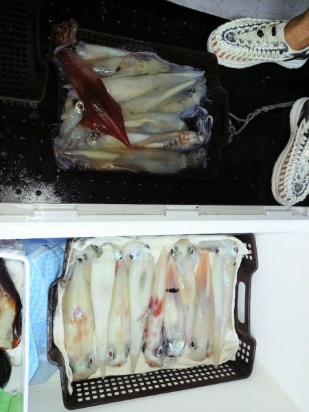 第二龍勢丸 釣果