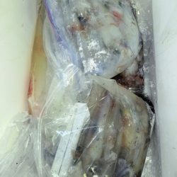 第二龍勢丸 釣果