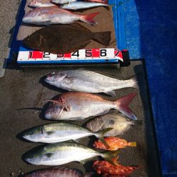 清和丸 釣果