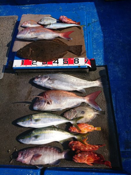 清和丸 釣果