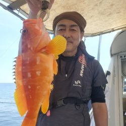 ソルトウォーターガイドフレンズ 釣果