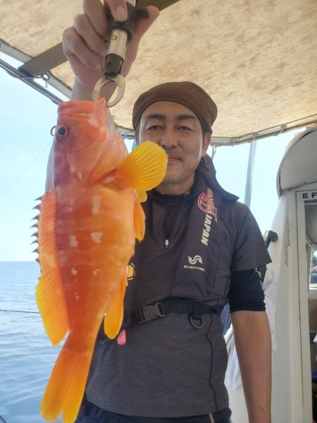 ソルトウォーターガイドフレンズ 釣果