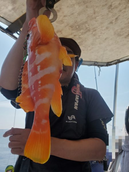 ソルトウォーターガイドフレンズ 釣果