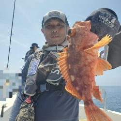 ソルトウォーターガイドフレンズ 釣果