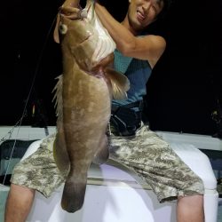 アマテラス 釣果