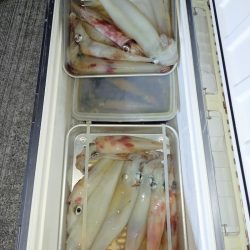 第二龍勢丸 釣果