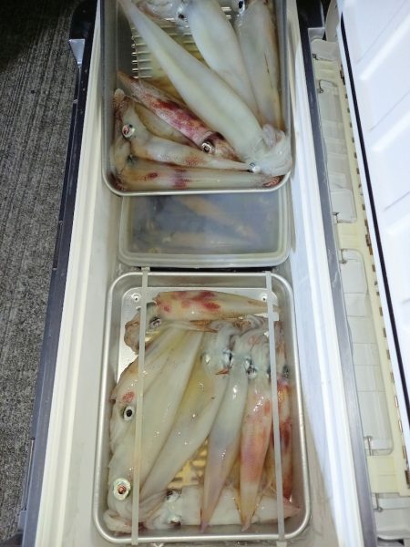 第二龍勢丸 釣果