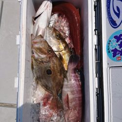 エンペラー 釣果