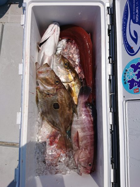 エンペラー 釣果