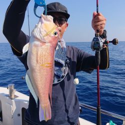 ARCADIAⅡ (アルカディアⅡ) 釣果