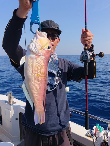 ARCADIAⅡ (アルカディアⅡ) 釣果