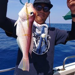 ARCADIAⅡ (アルカディアⅡ) 釣果