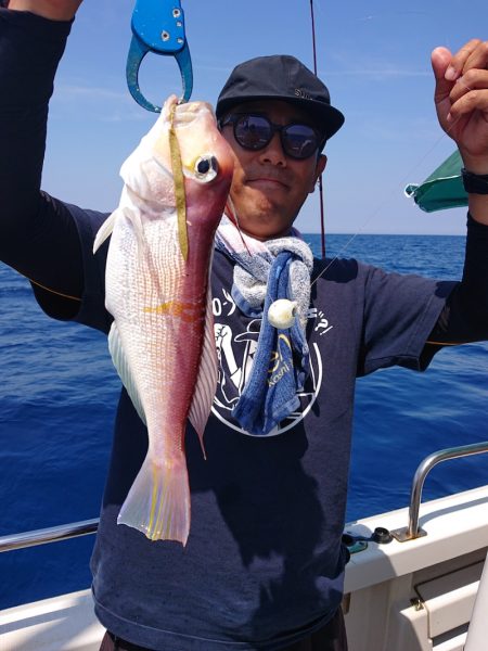 ARCADIAⅡ (アルカディアⅡ) 釣果