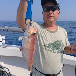 ARCADIAⅡ (アルカディアⅡ) 釣果