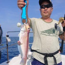 ARCADIAⅡ (アルカディアⅡ) 釣果