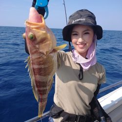 ARCADIAⅡ (アルカディアⅡ) 釣果