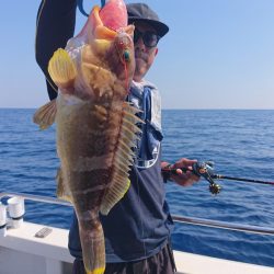 ARCADIAⅡ (アルカディアⅡ) 釣果