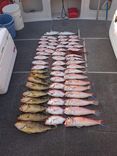 ARCADIAⅡ （アルカディアⅡ） 釣果…