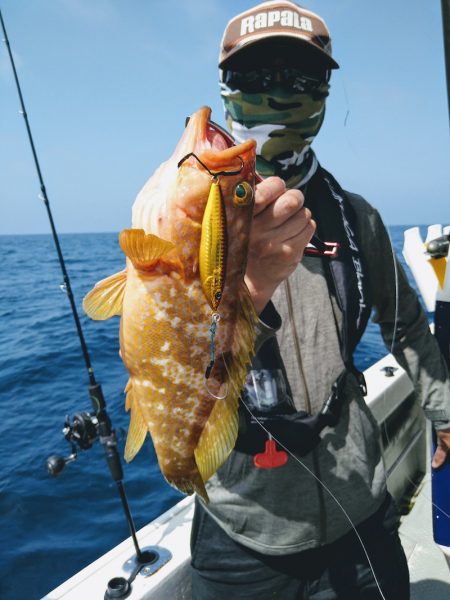 光生丸 釣果