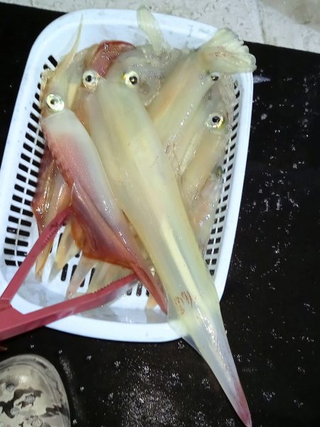 第二龍勢丸 釣果