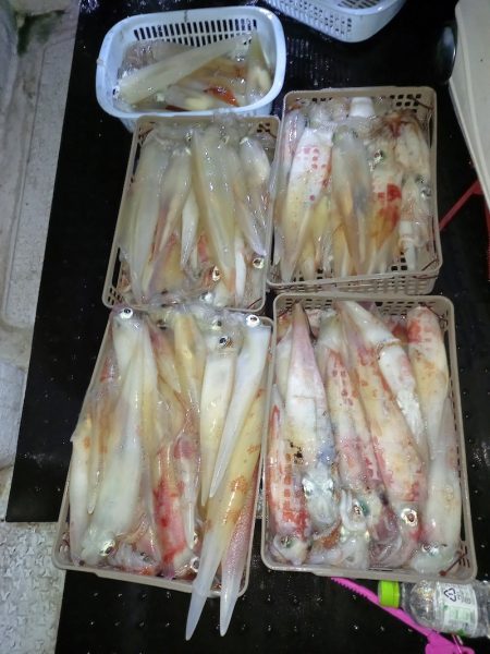 第二龍勢丸 釣果