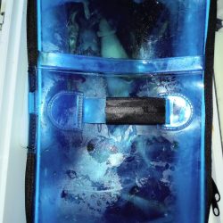 第二龍勢丸 釣果