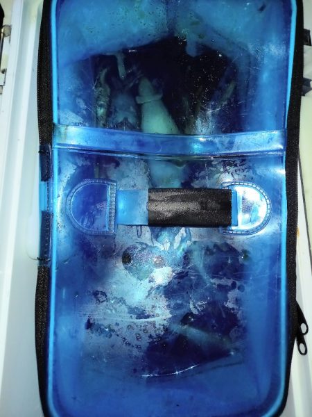 第二龍勢丸 釣果